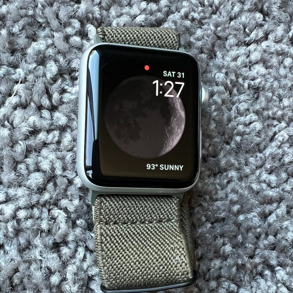 Apple Watch Series 3 (Silver, GREAT Condition)